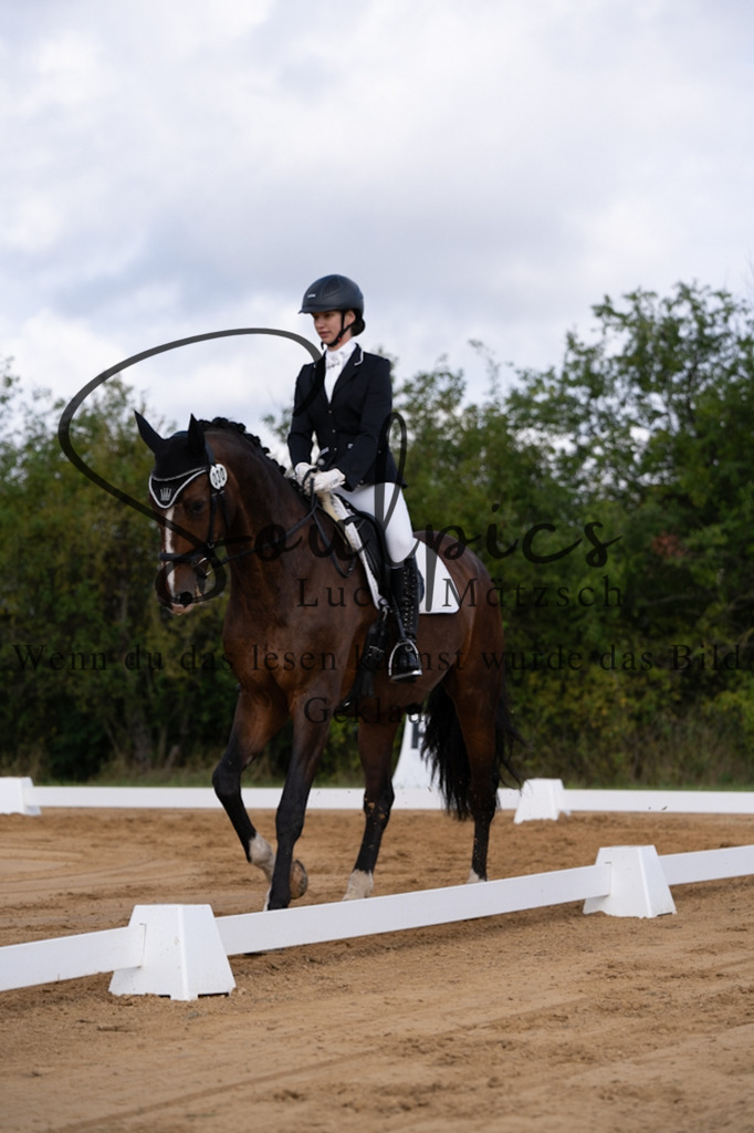 A7V05178 | Pferdefotograf