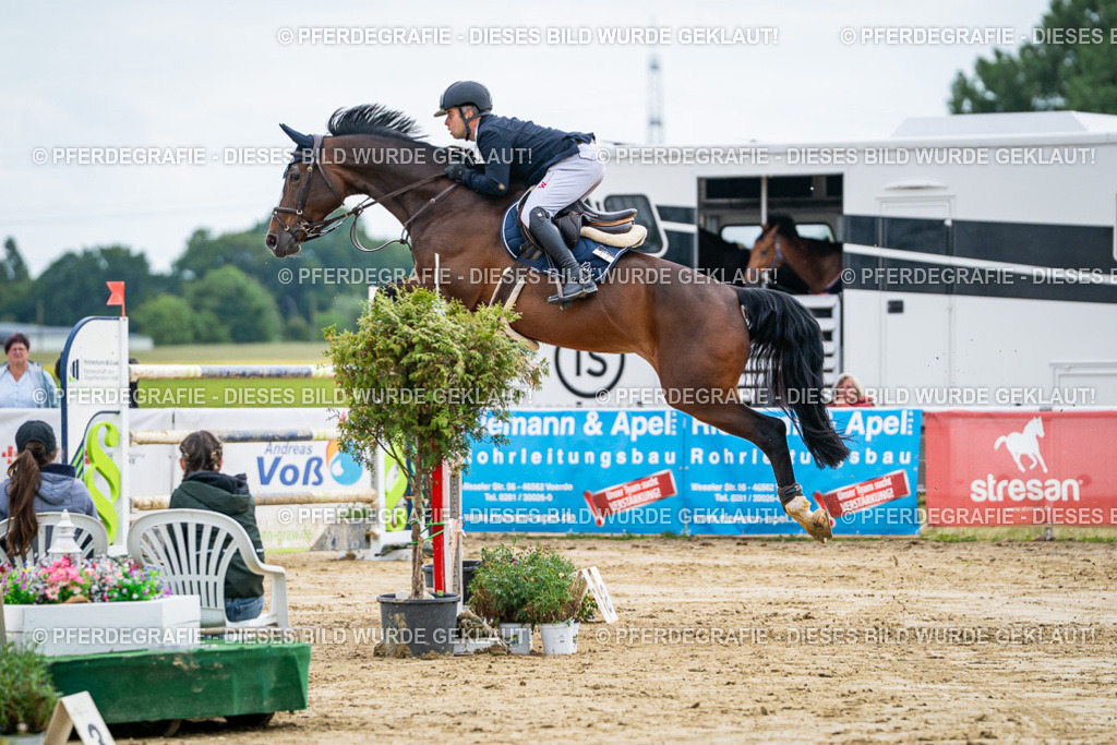 DSC07204 | Pferdegrafie