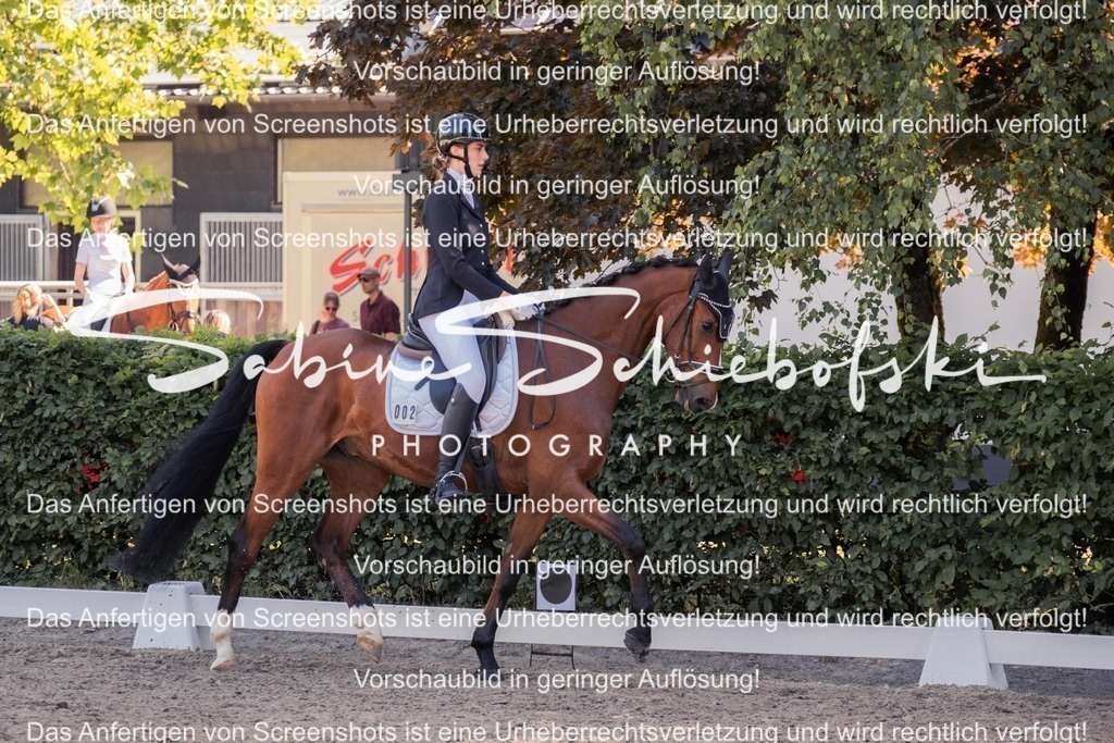 2025_05_31_DSCF3004 | People- und Tierfotografie, Imageaufnahmen, Veranstaltungsfotografie und Wandbilder aus der Natur ★ Made in Germany ✔️ Druck + Downloads ✔️ Naturfotografie in Top Qualität ★ schneller Versand, weltweite Lieferung! - Realisiert mit Pictrs.com