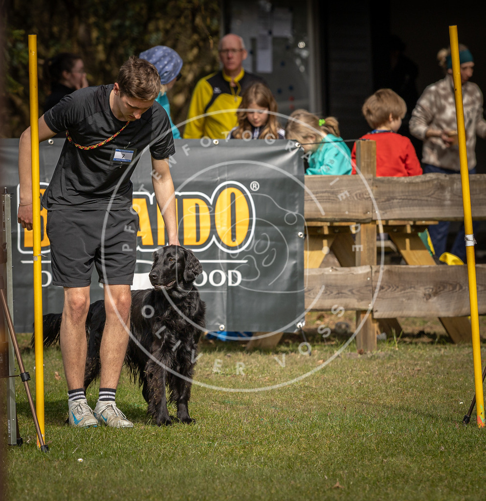 Pfotenfotografie_DV3A9295 | Hundefotografie, Tierfotograf, Pfotenfotografie, Fotoshooting Hund, Hunde Portrait, Hundesport, Hundeportraits, Heideshooting, Hunde, Sportfotograf, Hundefotograf, Turnierhundsport, THS,  - Realisiert mit Pictrs.com