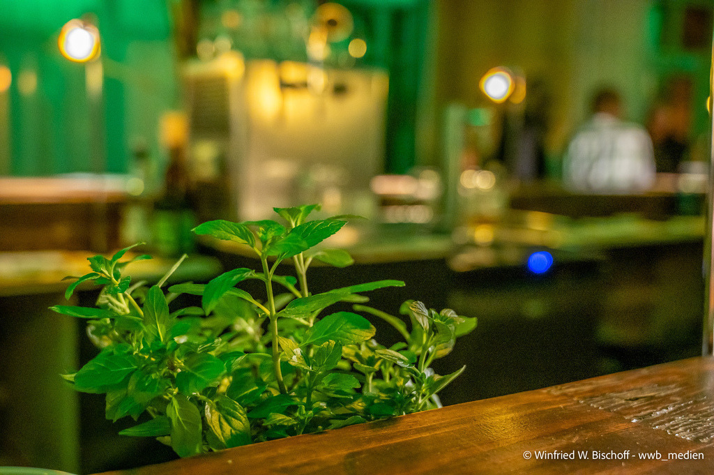 _DSC8681 | <Fotografie> <Video> <Film> <Winfried Bischoff> - Realisiert mit Pictrs.com