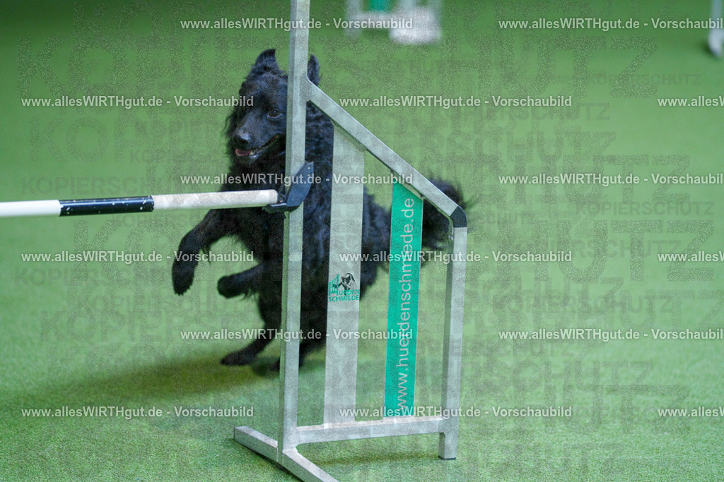 @allesWIRTHgut_Tierfotografie - www.allesWIRTHgut.de - 2604261401-7R503213 | Professionelle Tierfotografie in Mönchengladbach von Daniel Wirth (allesWIRTHgut). Liebevolle & natürliche Bilder von Hunden & Katzen für unvergessliche Erinnerungen.