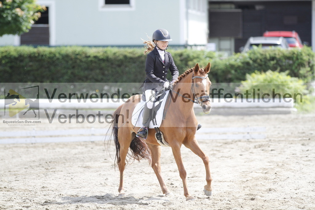 _MG_1182 | equestrian-live-com