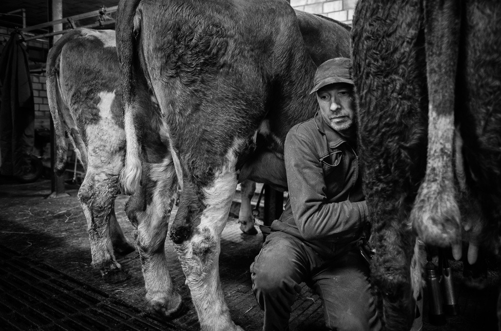 Halligbauern Honke Johannsen und Sohn Nils auf Langeneß © Holger Rüdel | Der Online-Shop von Holger Rüdel. Ausgewählte Fotografien als FineArt-Prints bestellen: Bildreportagen, Landschaften, Wildlife, History, Infrarot-Motive in Schwarzweiß und Verschiedenes.  - Realisiert mit Pictrs.com