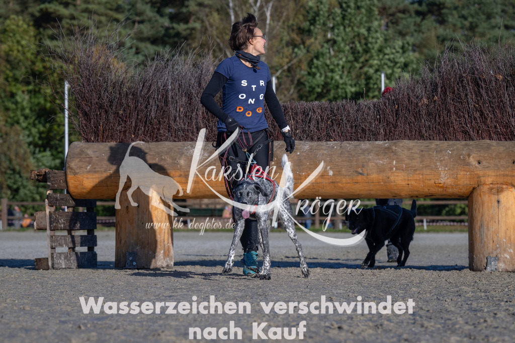 1044-_ZZ92333 | kk-dogfotos