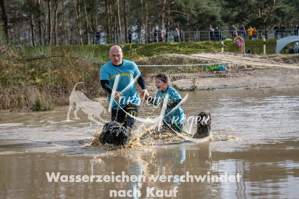 1551_ZZ91788-Bearbeitet | kk-dogfotos