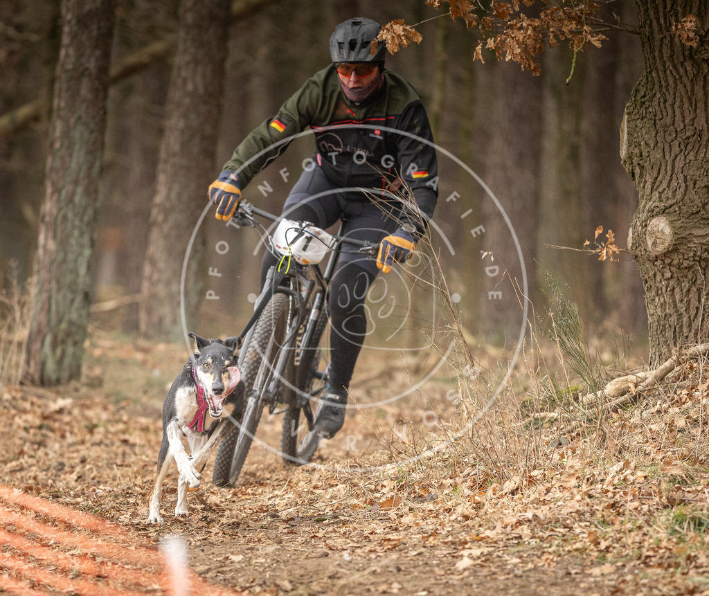 Pfotenfotografie_DV3A3450 | Hundefotografie, Tierfotograf, Pfotenfotografie, Fotoshooting Hund, Hunde Portrait, Hundesport, Hundeportraits, Heideshooting, Hunde, Sportfotograf, Hundefotograf, Turnierhundsport, THS,  - Realisiert mit Pictrs.com