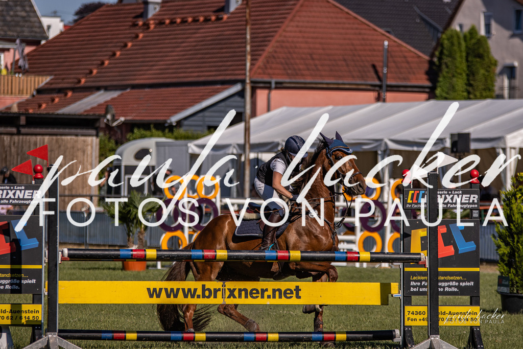 IMG_9844 | Erleben Sie dynamische Sport- und emotionale Tierfotografie in Süddeutschland mit Fotos von Paula. Spezialisiert auf Pferde- und Hundefotografie sowie Sportevents. Kontaktieren Sie mich für einzigartige und ausdrucksstarke Bilder Ihrer besonderen Momente. - Realisiert mit Pictrs.com