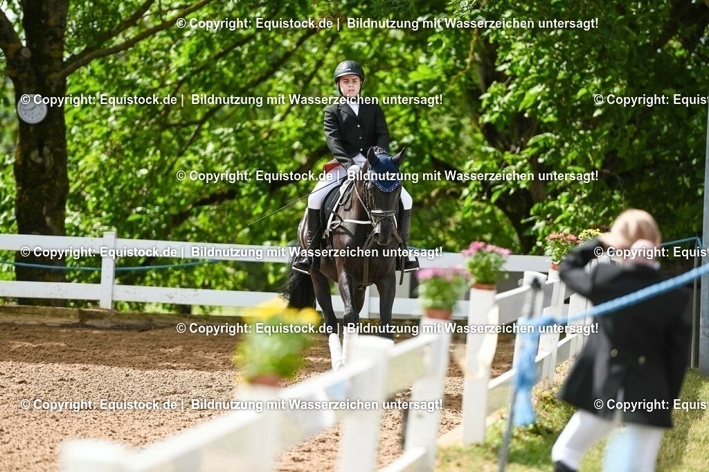 20230716_10-1_Reiter-WB Schritt - Trab - Galopp_0162 | equistock