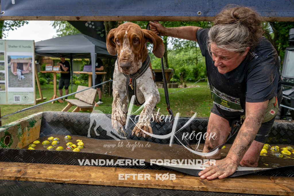 1123_ZZ94033 | kk-dogfotos