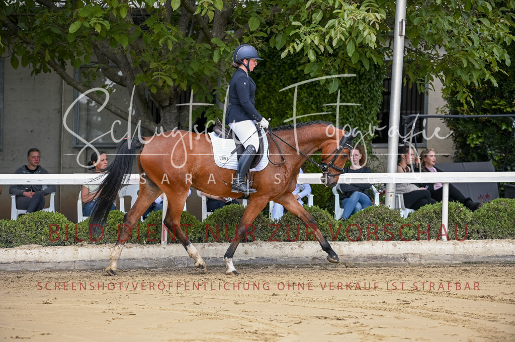 Schugtsche-Aluta25-48.Reitpferfdeprf.-128 | Schugtsche Fotografie - Realisiert mit Pictrs.com