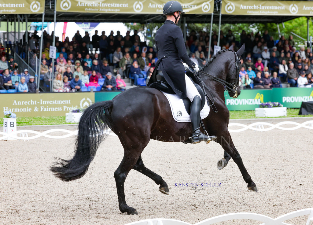 1B3A7753 | Reitsport Reiten