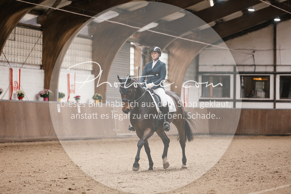 3I6A8283 | Stimmungsvolle Portraits und Reitsportfotografie im Ruhrgebiet und im Münsterland.

Pferdefotografie, Hundefotografie, Tierfotografie, Reportagen, Portraits von Tier und Mensch, Turnierfotografie in Bochum, Recklinghausen, Marl, Haltern am See, Dülmen.. - Realisiert mit Pictrs.com