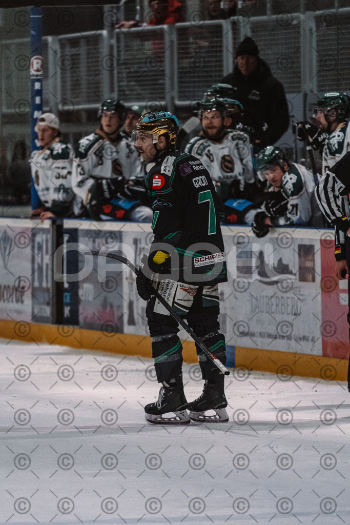 Alligators_vs_Erding_01_02_2026-53 | Höchstadt Alligators Fotogalerie: Eishockey-Action aus Franken. Professionelle Spielfotos, Portraits & Stadionbilder zum Download. Jetzt entdecken! - Realisiert mit Pictrs.com