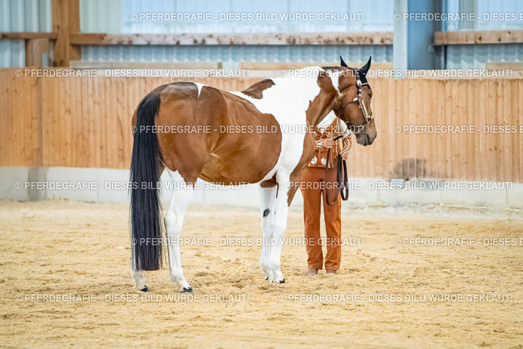 DSC09715 | Pferdegrafie