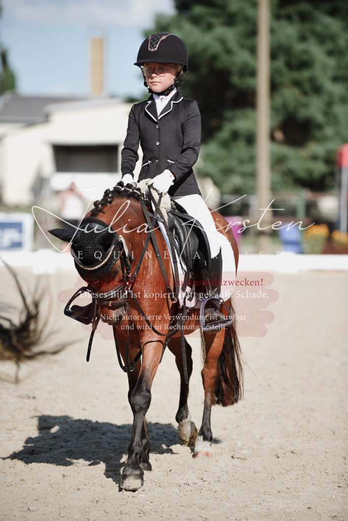 DSC_0129 | Pferde- und Turnierfotografie in Westsachsen. Pferdeportraits, Auftragszeichnungen und intuitive Kunst.