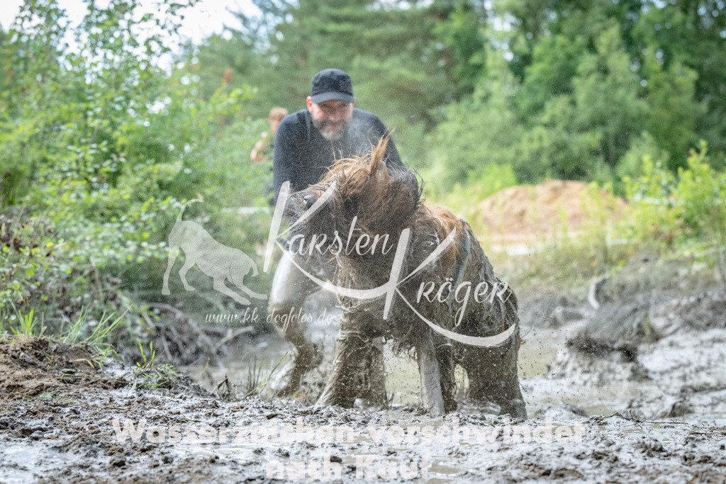 1015_ZZ91315 | kk-dogfotos