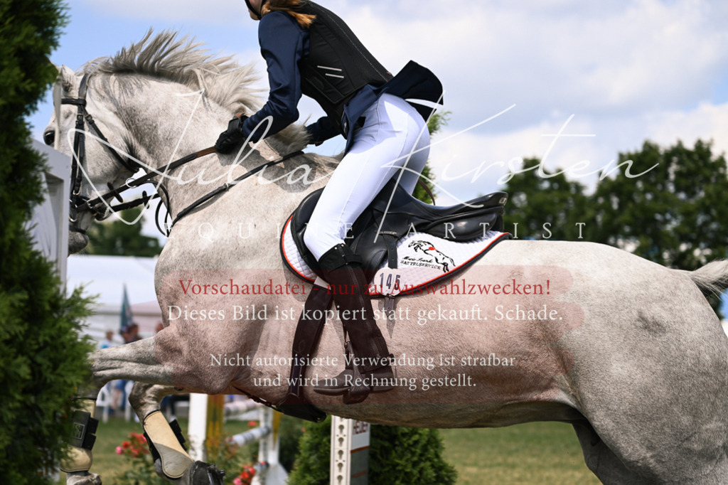 DSC_9303 | Pferde- und Turnierfotografie in Westsachsen. Pferdeportraits, Auftragszeichnungen und intuitive Kunst.