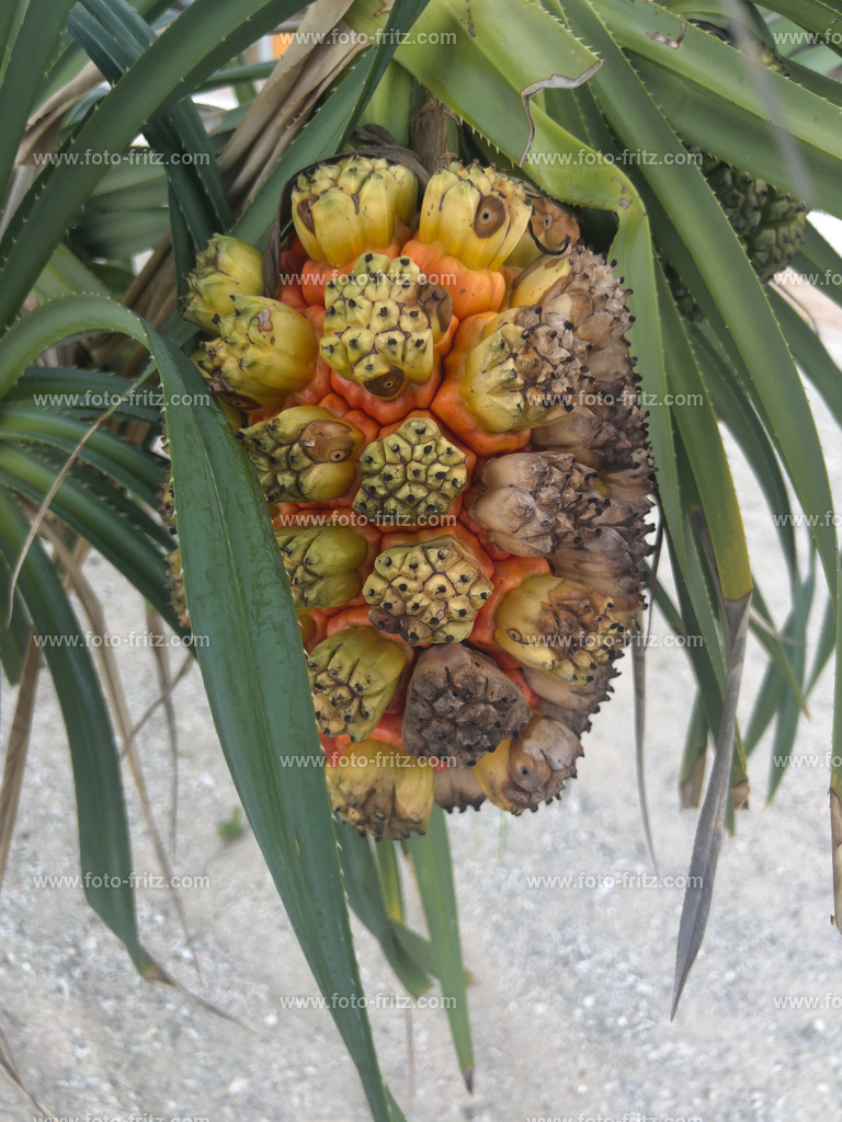 IMG_2410 | www.foto-fritz.com - Realisiert mit Pictrs.com