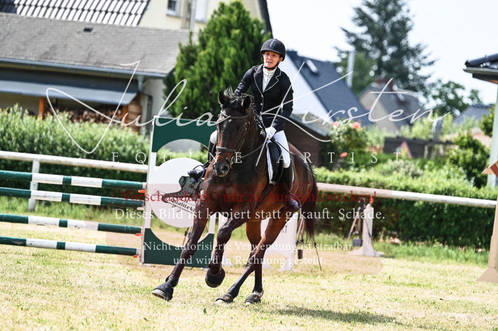 DSC_8880 | Pferde- und Turnierfotografie in Westsachsen. Pferdeportraits, Auftragszeichnungen und intuitive Kunst.
