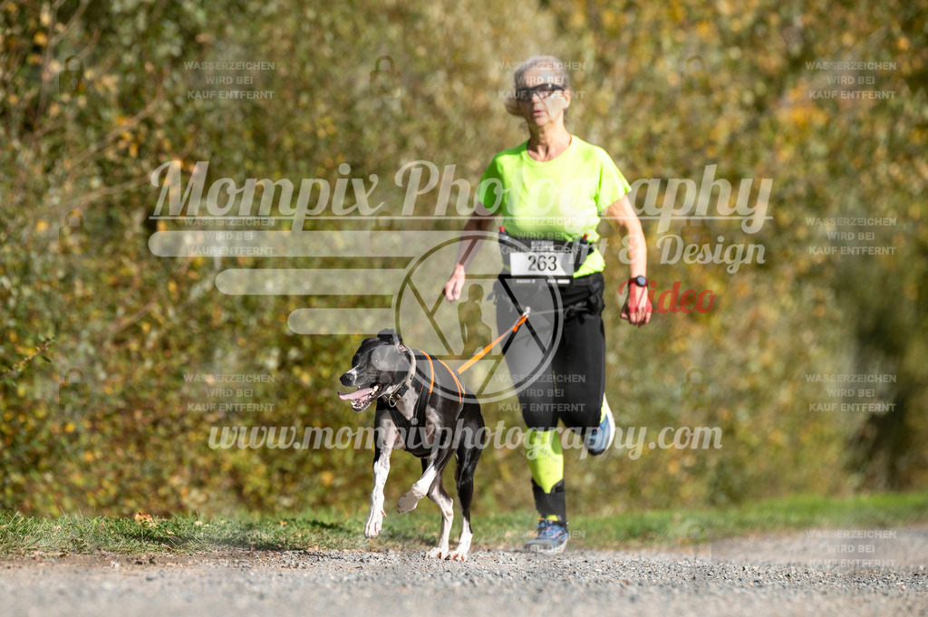 TSB_2023_E2_Canicross-95 | PayLife