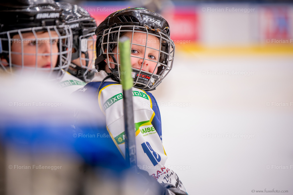 DSC_6753 | "Fussifoto.com – Ihr Ansprechpartner für hochwertige Fotografie! Entdecken Sie kreative Bilder und professionelle Dienstleistungen. Kontaktieren Sie uns für Ihre Projekte!"