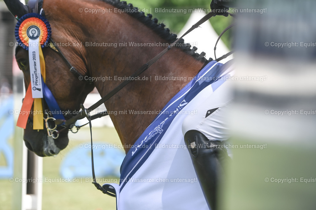 20230529_18_CSI4_Obermayr_0160 | equistock