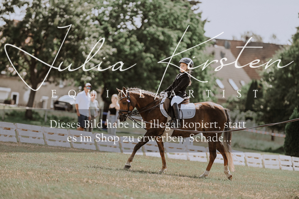 DSC_7590 | Pferde- und Turnierfotografie in Westsachsen. Pferdeportraits, Auftragszeichnungen und intuitive Kunst.