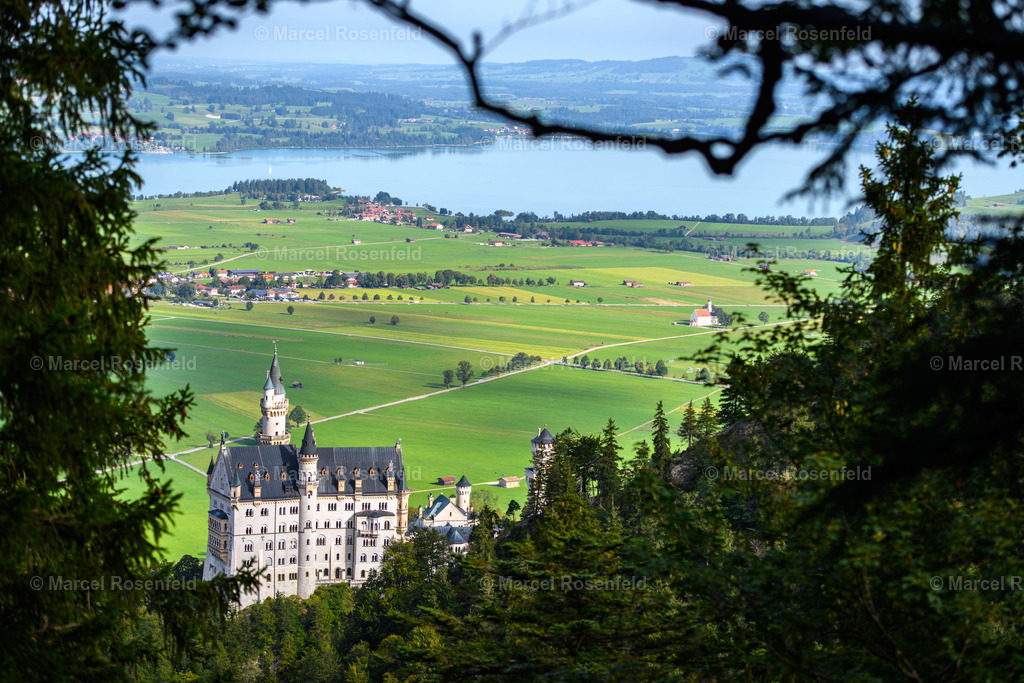 _DSC4624 | foto-rosenfeld