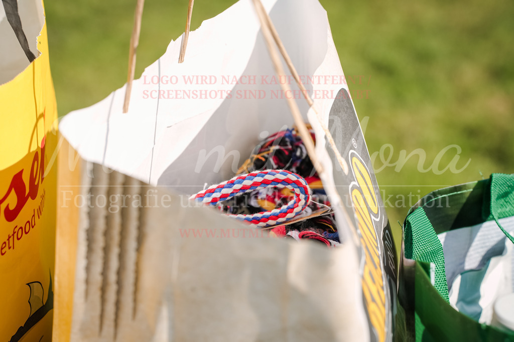 20250928_Hunderennen-723 | MuT (Mensch und Tier) mit Mona - Fotografie und Tierkommunikation - Realisiert mit Pictrs.com