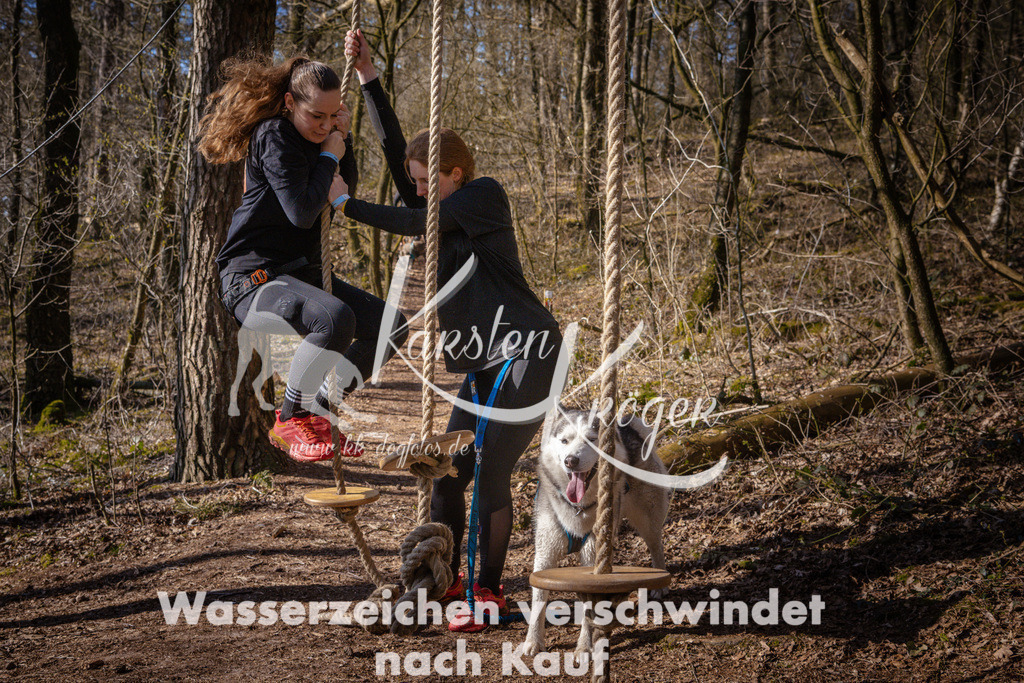 0943_ZZ99507 | kk-dogfotos