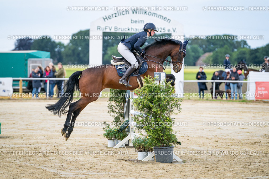 DSC03412 | Pferdegrafie