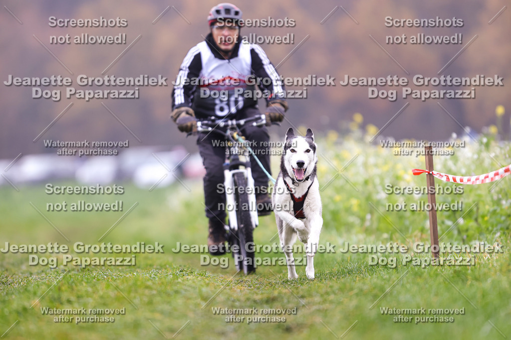 Dog Paparazzi - Visbeck 25 -231 | Dog Paparazzi Jeanette Grottendiek Fotografie & Videografie - Realisiert mit Pictrs.com