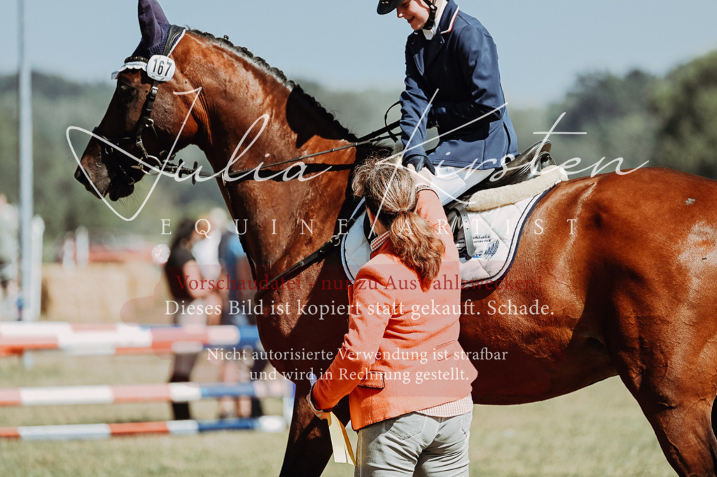 DSC_0103 | Pferde- und Turnierfotografie in Westsachsen. Pferdeportraits, Auftragszeichnungen und intuitive Kunst.