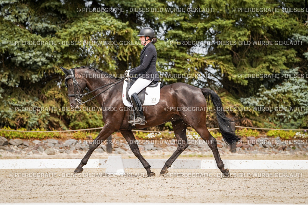 DSC06820 | Pferdegrafie