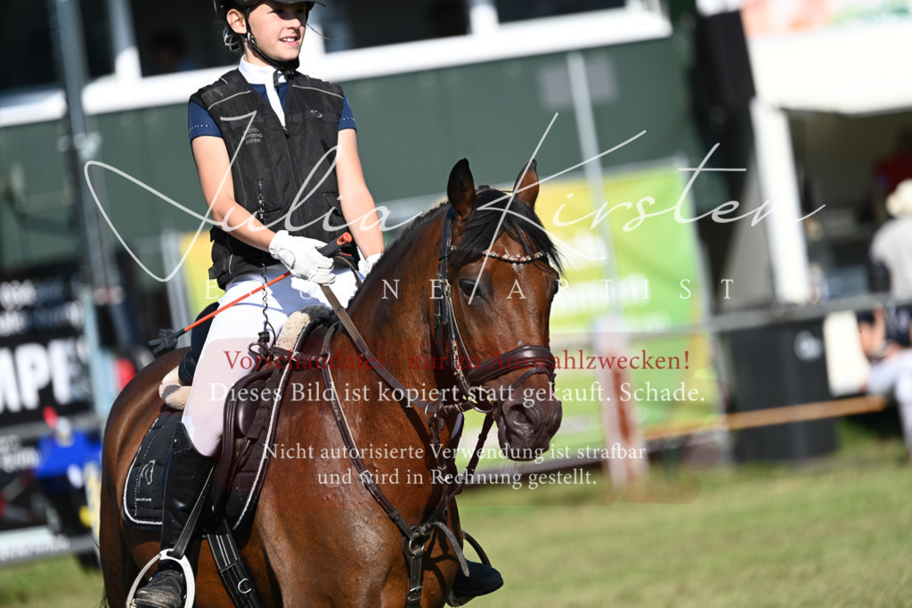 DSC_5215 | Pferde- und Turnierfotografie in Westsachsen. Pferdeportraits, Auftragszeichnungen und intuitive Kunst.