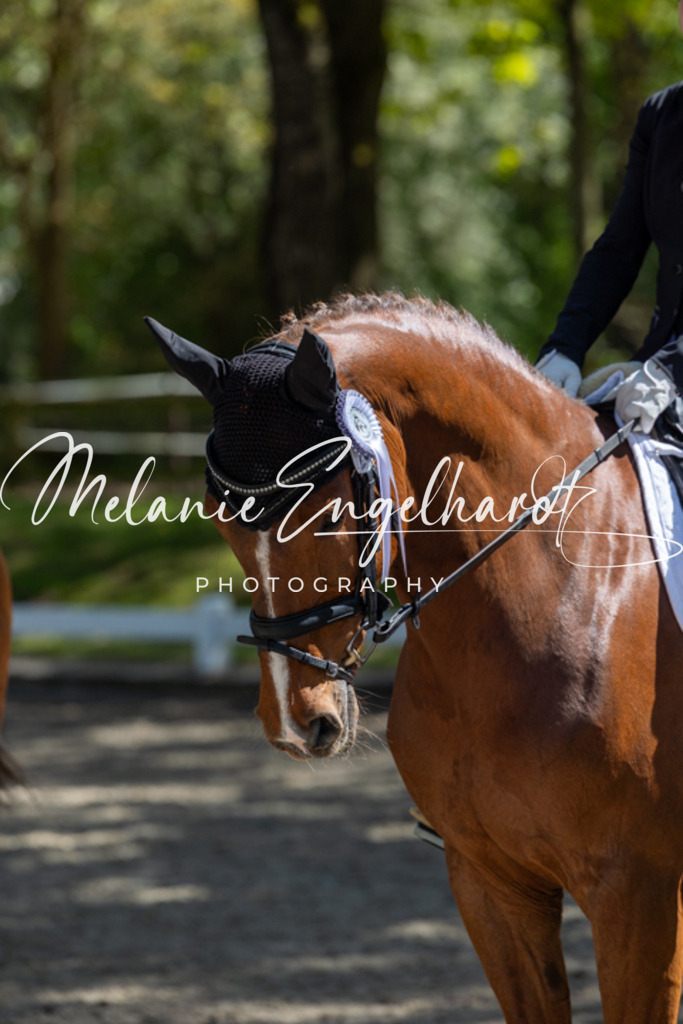 7I8A5193 | melanie-engelhardt-photography - Realisiert mit Pictrs.com