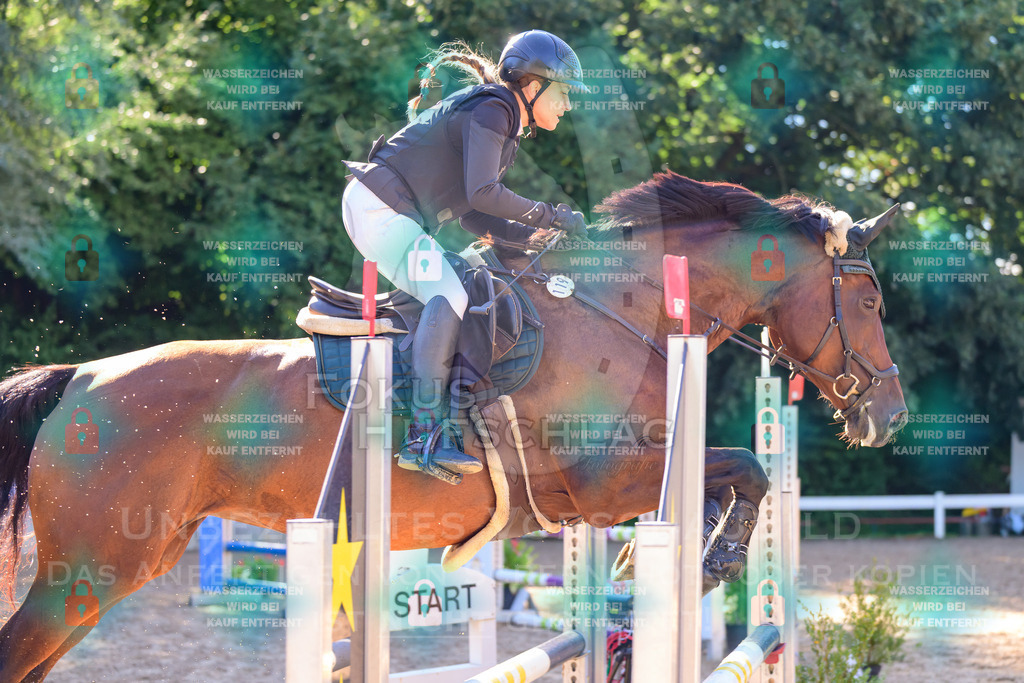 30082026-Giesenbach-Prfg16-0292 | Fokus Hufschlag Fotografie - Realisiert mit Pictrs.com