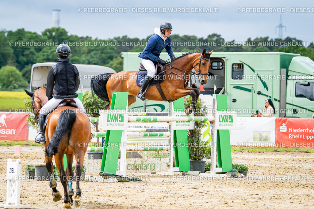 DSC04270 | Pferdegrafie