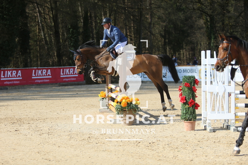 DL2Q8244 | Willkommen bei Brunnmayr - Design & Fotografie – Ihrem Spezialisten für Reitturniere und Pferdeveranstaltungen in Oberösterreich, Salzburg und Bayern! Seit über 17 Jahren sind wir leidenschaftlich dabei.