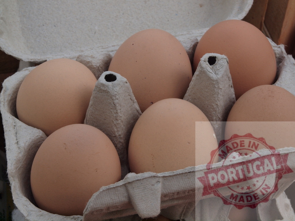 Brown eggs in carton for organic breakfast ingredient | Brown chicken eggs fill a recycled paper carton, representing fresh farm food - Realized with Pictrs.com