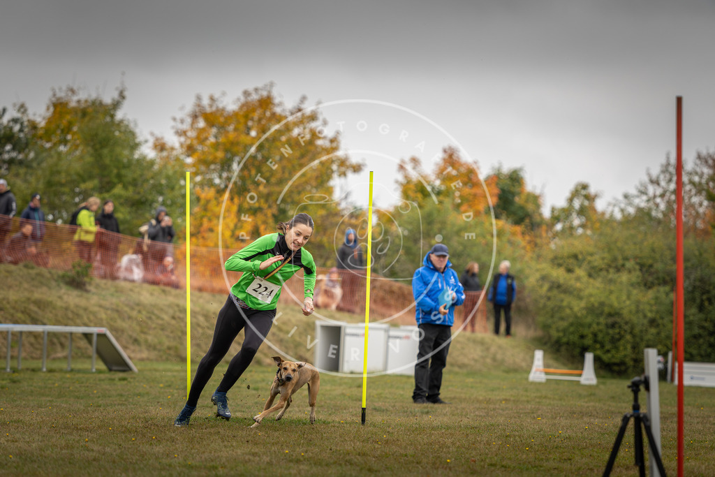 Pfotenfotografie_DV3A3883 | Hundefotografie, Tierfotograf, Pfotenfotografie, Fotoshooting Hund, Hunde Portrait, Hundesport, Hundeportraits, Heideshooting, Hunde, Sportfotograf, Hundefotograf, Turnierhundsport, THS,  - Realisiert mit Pictrs.com