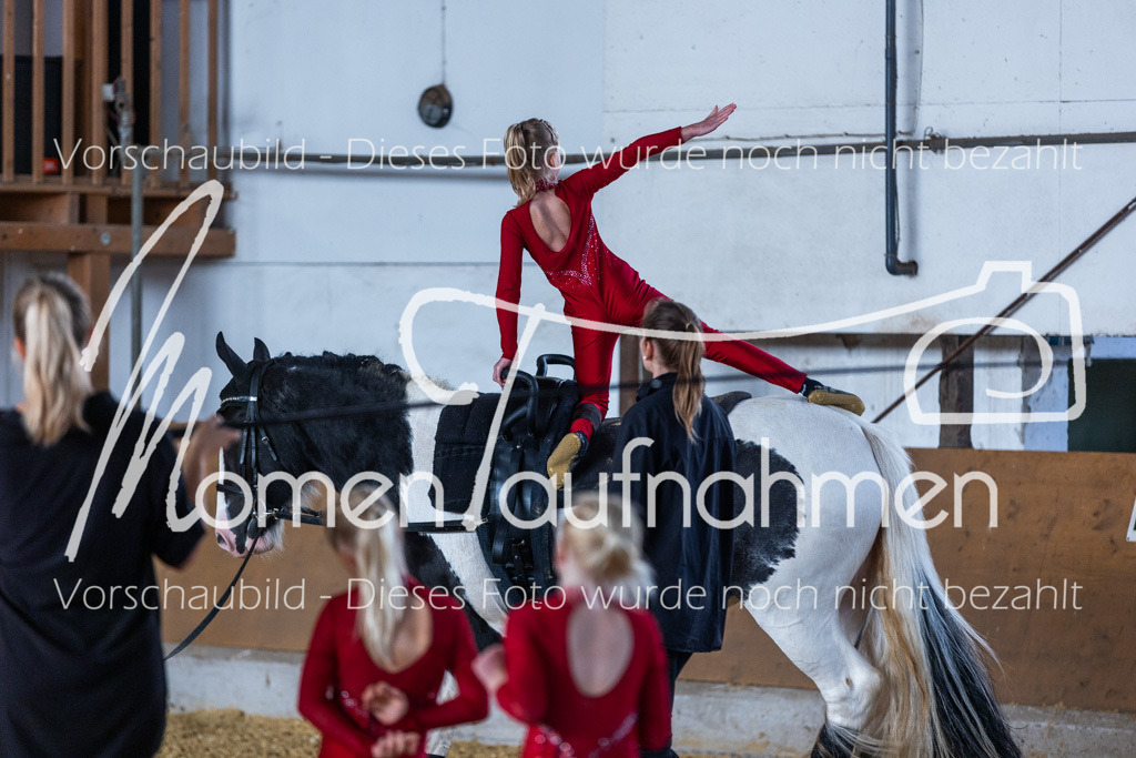 SS-Mini-207 | MomenTaufnahmen Pferdesportfotos