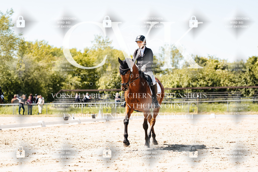 CK905850 | Turnierfotografie Pferdefotografie Trier Rheinland-Pfalz Pferdesport Reitsport Tierfotografie Sportfotografie Pferdevideo Pferdevideografie Equestrianvideography equestrianphotography  - Realisiert mit Pictrs.com