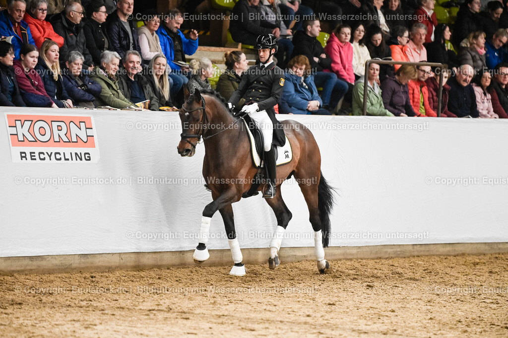 20260307_Hengstvorstellung-Marbach_0348 | equistock