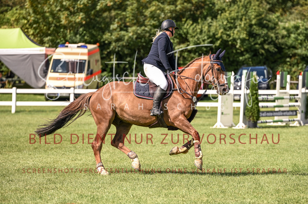 Schugtsche-Düren.2024-08.Amat.Springprf.L-45 | Schugtsche Fotografie - Realisiert mit Pictrs.com