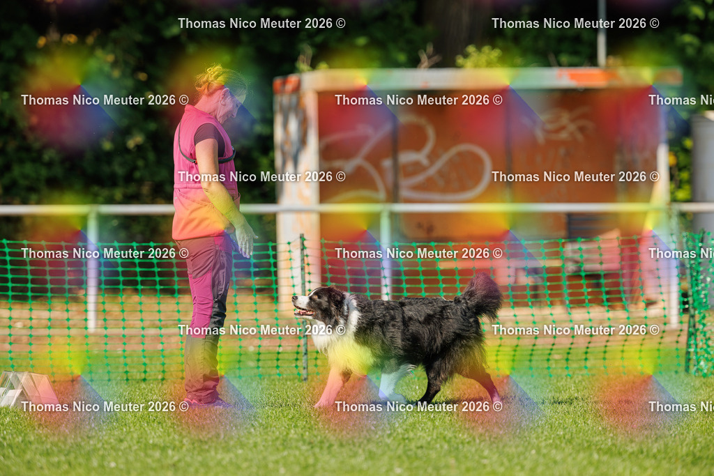 Thomas_Nico_Meuter(C)_04. Oktober 2026_223A3165 | Bild von Thomas Nico Meuter - Realisiert mit Pictrs.com
