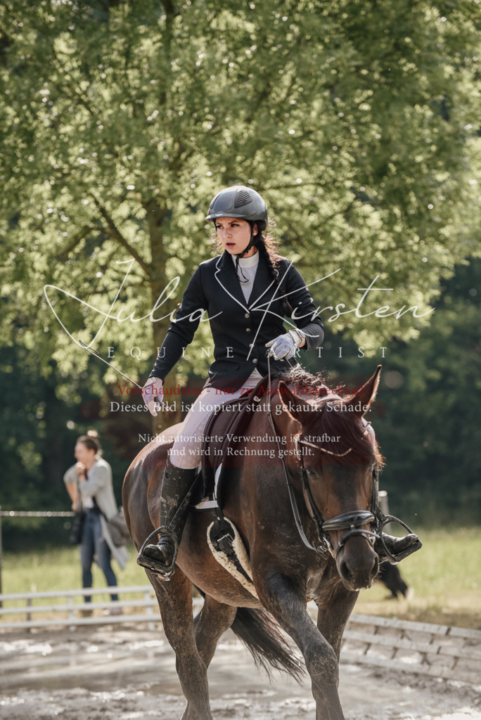 DSC_8701 | Pferde- und Turnierfotografie in Westsachsen. Pferdeportraits, Auftragszeichnungen und intuitive Kunst.