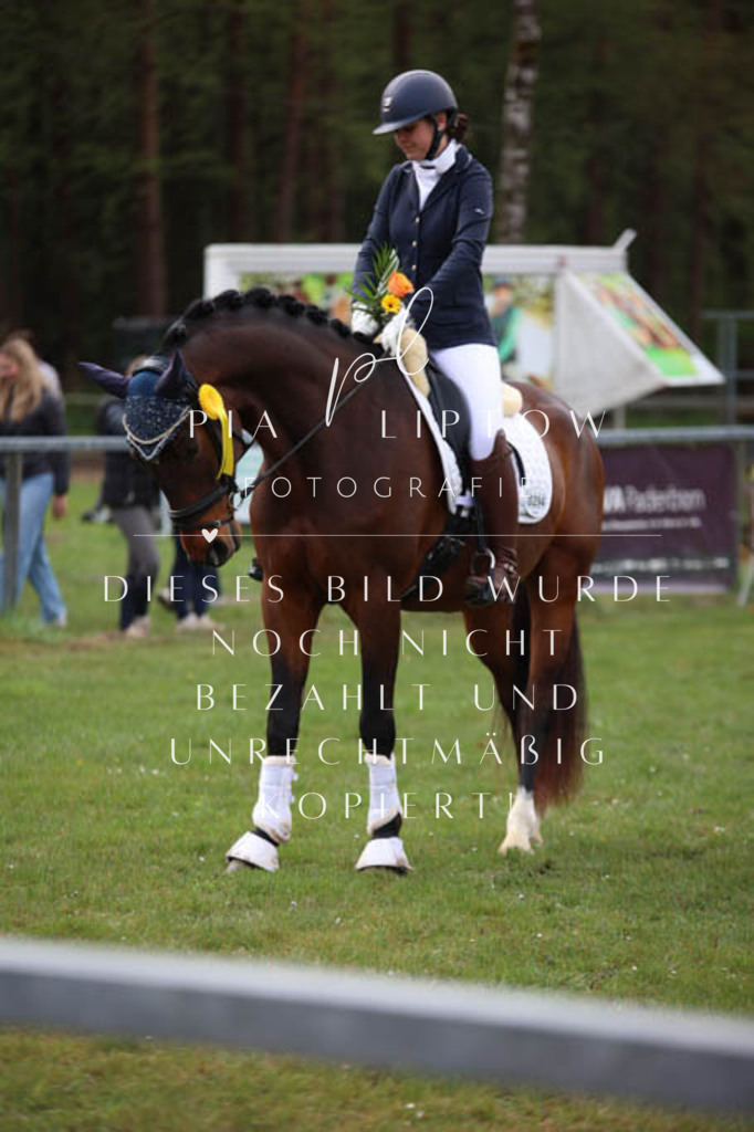 IMGT3421 | pl-fotografie