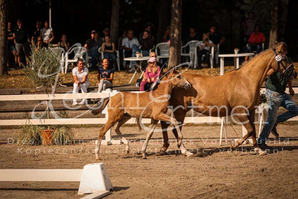 10.DoRP00151 | Leoni Ertmer Photography - Realisiert mit Pictrs.com